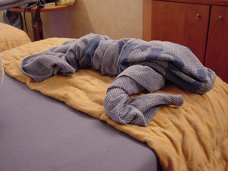 Picture 035